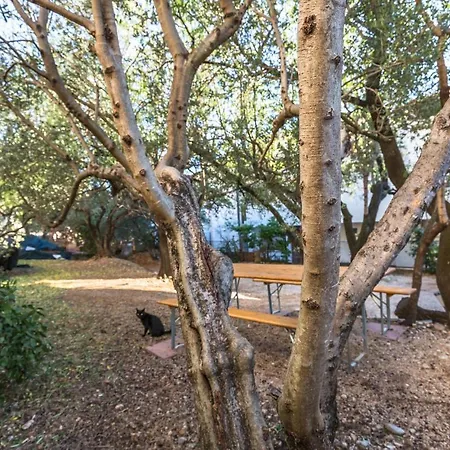 Pensión Miranda Sea & Nature 3*