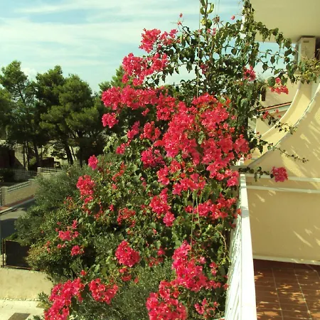 Miranda Sea & Nature