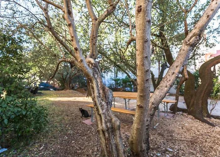 Gasthuis Miranda Sea & Nature 3*