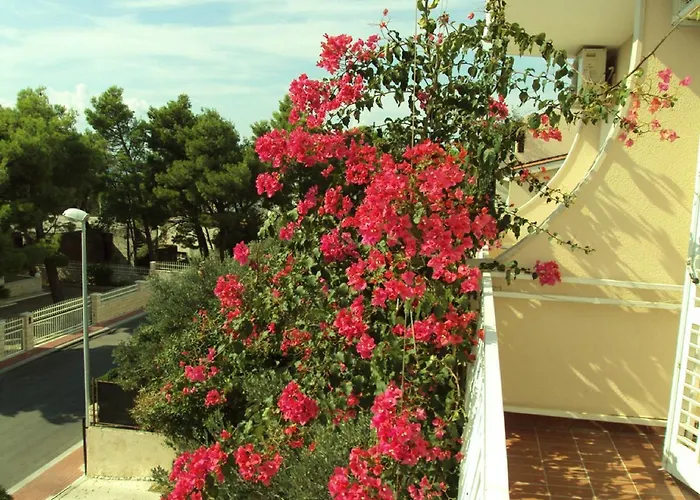 Miranda Sea & Nature