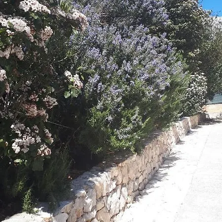 Miranda Sea & Nature